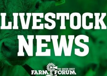 Bison ranchers look to expand customer connections at annual meeting | Farm Forum