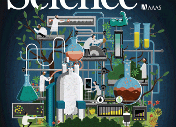 Single-cell transcriptional diversity is a hallmark of developmental potential – Science Magazine