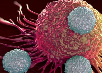 Did President Trump try to cut cancer funds in budget?
