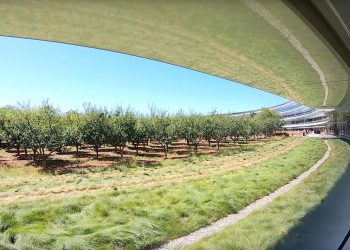 Why AAPL is a key investment – fund manager with 54% gains