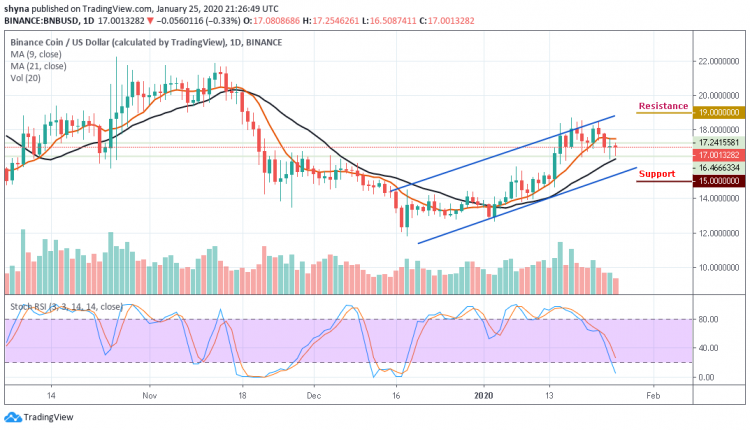 The Critical $17 Support Comes Into Play as BNB/USD Moves Beneath $18