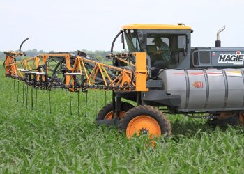 $1.2 Million Grant to Help Corn and Wheat Growers Manage Nitrogen Fertilizer Application
