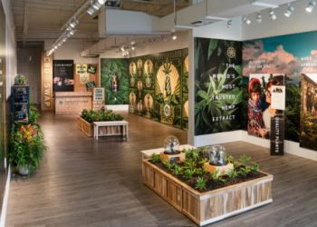 Charlotte’s Web Launches CBD Popup in Miami – Adweek