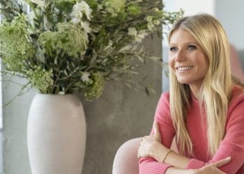 Gwyneth Paltrow’s The Goop Lab pushes junk wellness. But it’s strong on vulvas.