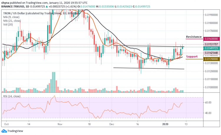 TRX/USD Remains Bullish Despite Recent Price Falls