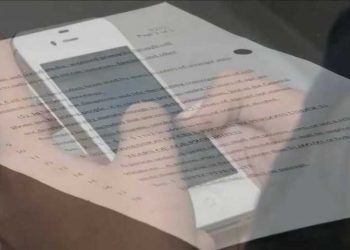 Grant to Fund Child Exploitation Research – NECN