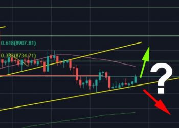 Bitcoin Holds The Crucial Support Line, Preparing For a Huge Move This Week