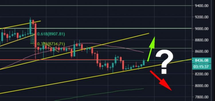 Bitcoin Holds The Crucial Support Line, Preparing For a Huge Move This Week