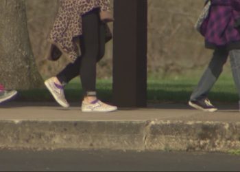 Gut bacteria linked to behavioral disorder in children