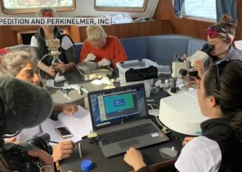 Local Tools Being Used to Study Ocean Pollution on 2-Year Trip Around the World – NBC Boston