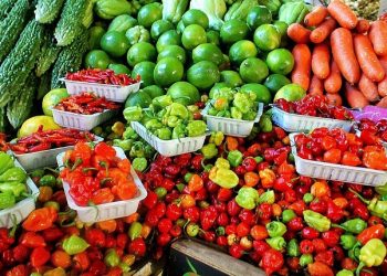 2020 Vision: Food Forecast for the Year Ahead