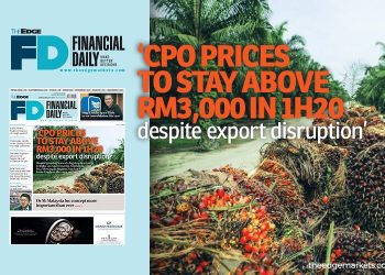 ‘CPO prices to stay above RM3,000 in 1H20 despite export disruption’