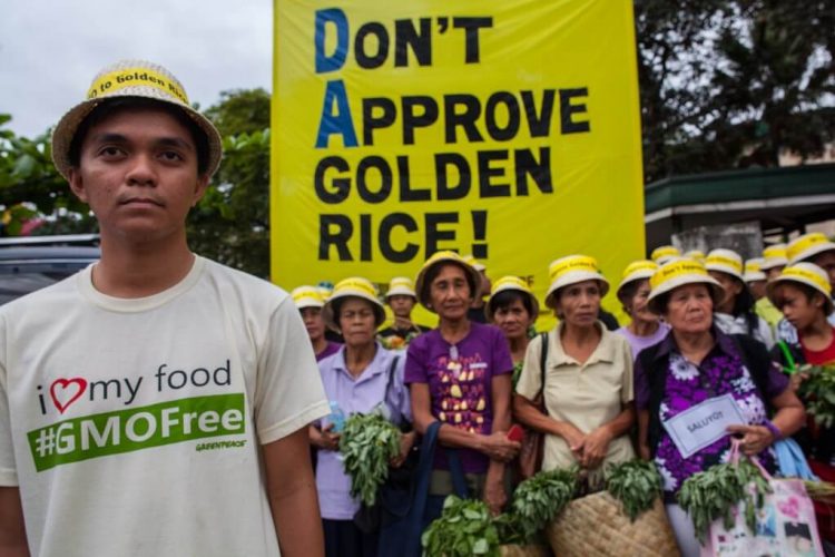 Viewpoint: As the debut of Golden Rice in the Philippines nears, Greenpeace escalates ‘monstrous’ attacks on nutrition-enhanced GMO staple