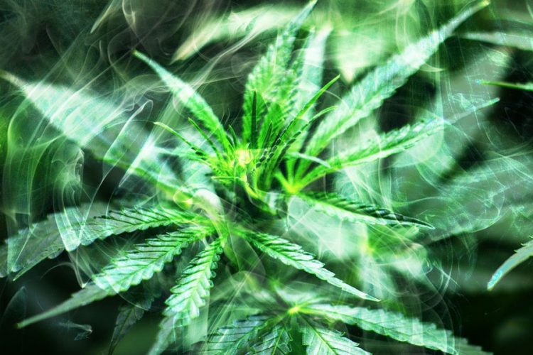 Is the 2020 Hemp CBD Bubble Bursting? New Product Pricing and Market Prediction Reports