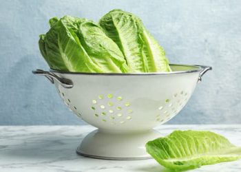 9 tips to avoid illness from salad greens