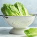 9 tips to avoid illness from salad greens