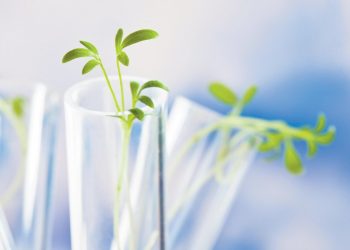 Sask., Ottawa commit funding for ag research