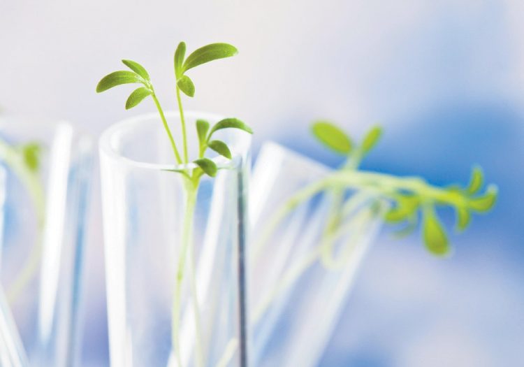 Sask., Ottawa commit funding for ag research