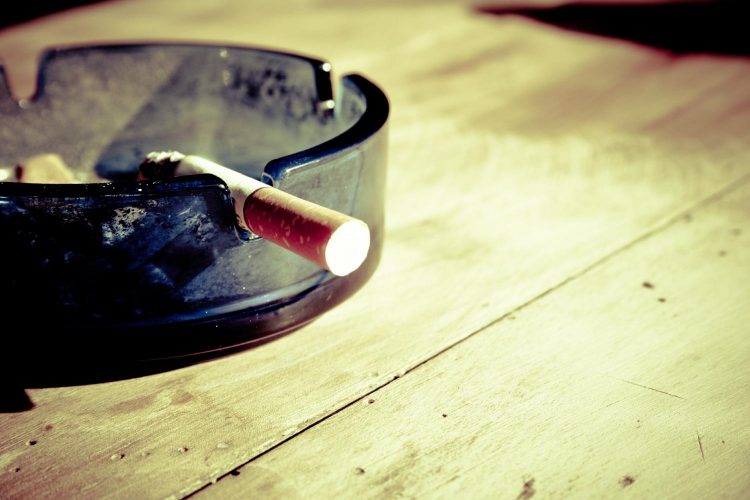 Experts explore efforts to tackle tobacco harm
