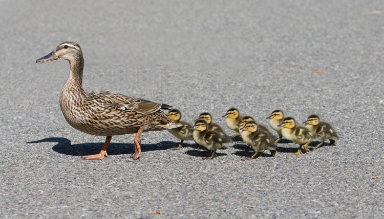 Futures 4 Fun: Which Month to Trade? Follow Vol – The Ticker Tape