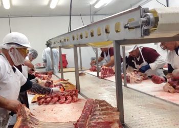 Local beef processor to expand, receives training funds