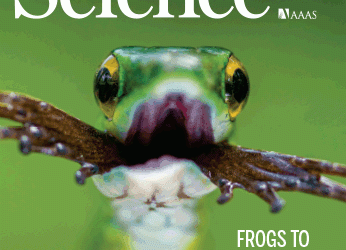 Resilience after trauma: The role of memory suppression – Science Magazine