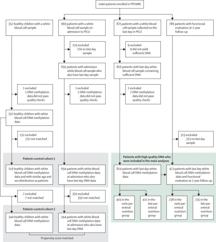 Effect of early parenteral nutrition during paediatric critical illness on DNA methylation as a potential mediator of impaired neurocognitive development: a pre-planned secondary analysis of the PEPaNIC international randomised controlled trial