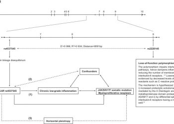 Loss-of-function polymorphism in IL6R reduces risk of JAK2V617F somatic mutation and myeloproliferative neoplasm: A Mendelian randomization study