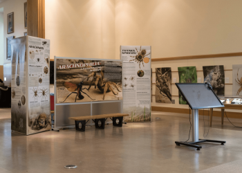 Embracing our Eight-Legged Friends: Arachnophilia Displayed at Mann Library