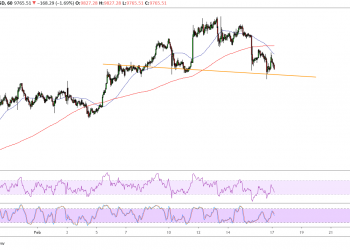 BTC/USD Bearish Reversal Pattern » BitcoinerX