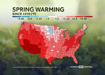 Analyzing spring trends | WTAJ