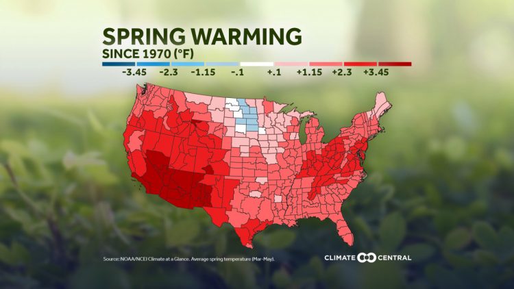 Analyzing spring trends | WTAJ