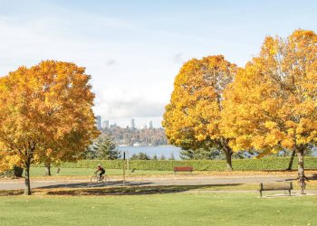 Parks, Recreation and Open Space Plan to gather community feedback.