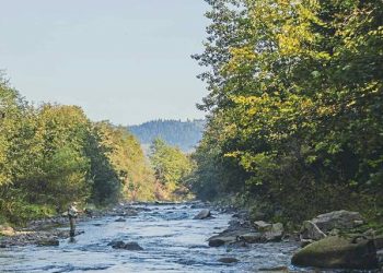 Voluntary fishing permits sell better than hoped; plans for funds revealed