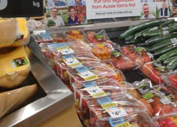 Counting the cost of food waste