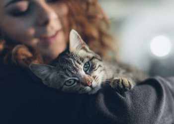 More evidence that pets benefit mental health