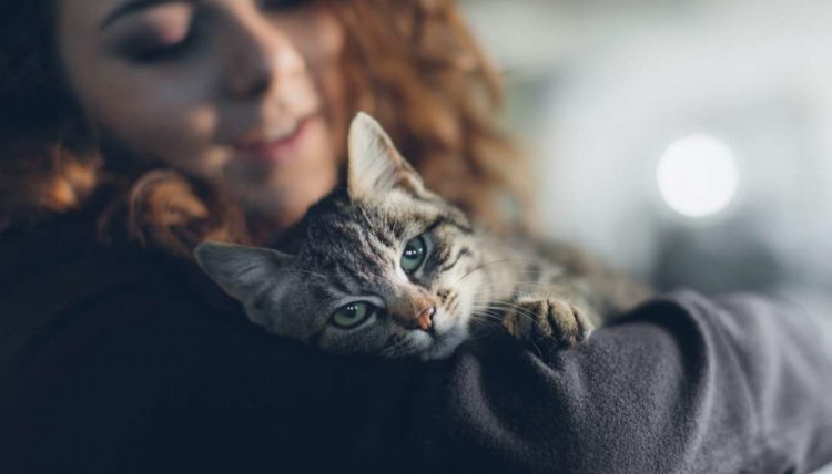 More evidence that pets benefit mental health