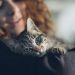 More evidence that pets benefit mental health