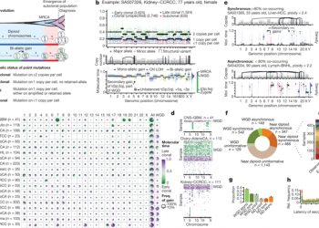 The evolutionary history of 2,658 cancers