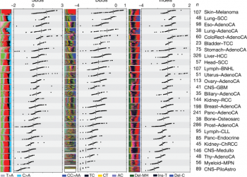 The repertoire of mutational signatures in human cancer