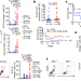 ILC2s amplify PD-1 blockade by activating tissue-specific cancer immunity