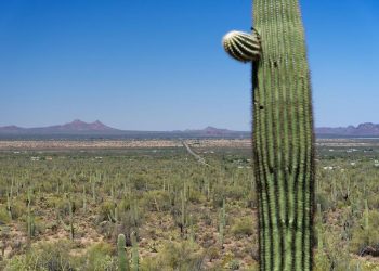 Tortolita Alliance focusing on Marana elections and spreading influence | Marana News