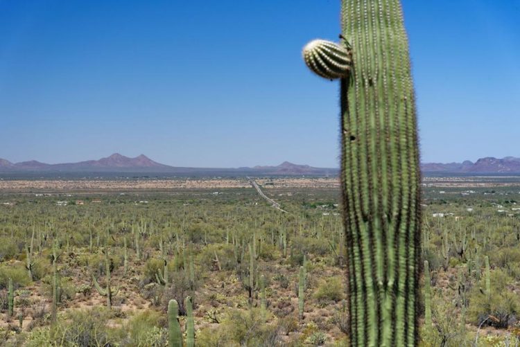 Tortolita Alliance focusing on Marana elections and spreading influence | Marana News