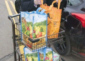 NY poised to sack plastic bags | Local News
