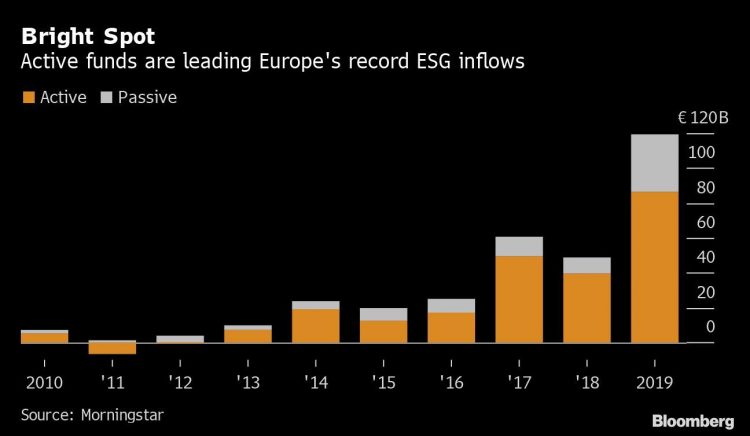 Avocados Are the New Coal for Hedge Funds Chasing Sustainable Cash