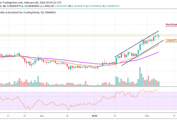 ADA/USD Initiates Price Recovery with a 1.44% Gain Overnight
