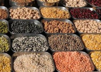 Pulses in Pet Food Market Production, Demand, Supply and Price Analysis forecast 2020 to 2026 – Nyse News Times