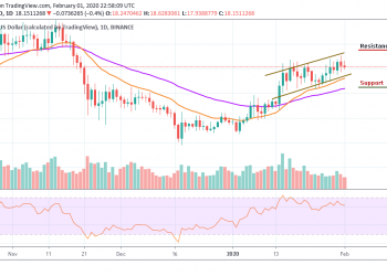 BNB/USD Reverses the Trend by Losing 0.4% Over Last Few Hours
