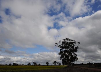 Fotowatio confirms finance for Victoria’s Winton Solar Farm and funding for problem-solving research – pv magazine Australia