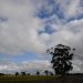 Fotowatio confirms finance for Victoria’s Winton Solar Farm and funding for problem-solving research – pv magazine Australia